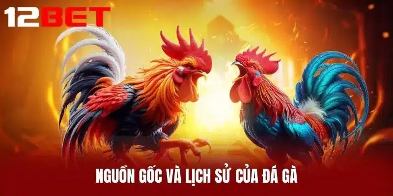 Nguồn gốc và lịch sử của đá gà