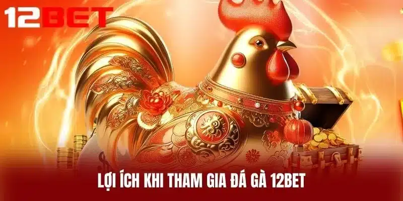 Lợi ích khi tham gia đá gà 12BET