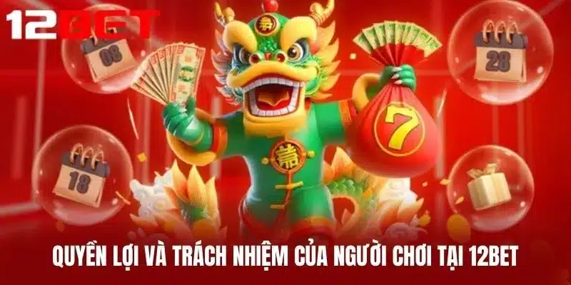 Quyền Lợi Và Trách Nhiệm Của Người Chơi Tại 12BET