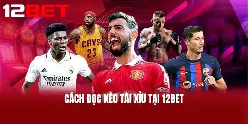 Cách đọc Kèo Tài Xỉu tại 12BET
