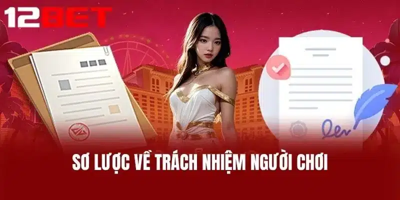 Sơ Lược Về Trách Nhiệm Người Chơi