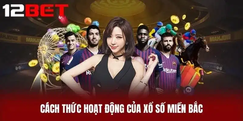Cách thức hoạt động của xổ số miền Bắc
